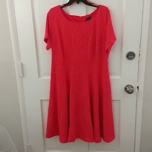 Coral A-line Knit Dress 18W
